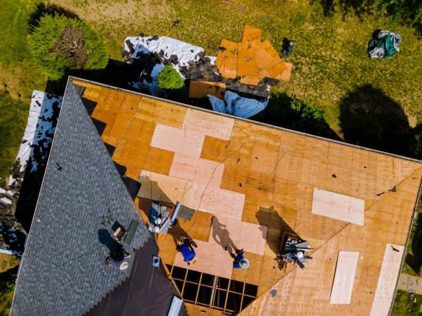 Professional Roofing Contractor in Fruit Heights, UT